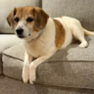 Meet your Posher, Bethany